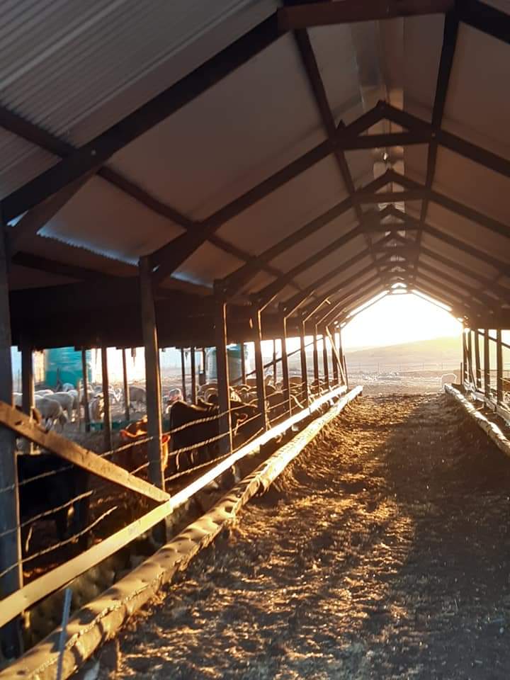  Bedroom Property for Sale in Riversdale Rural Western Cape